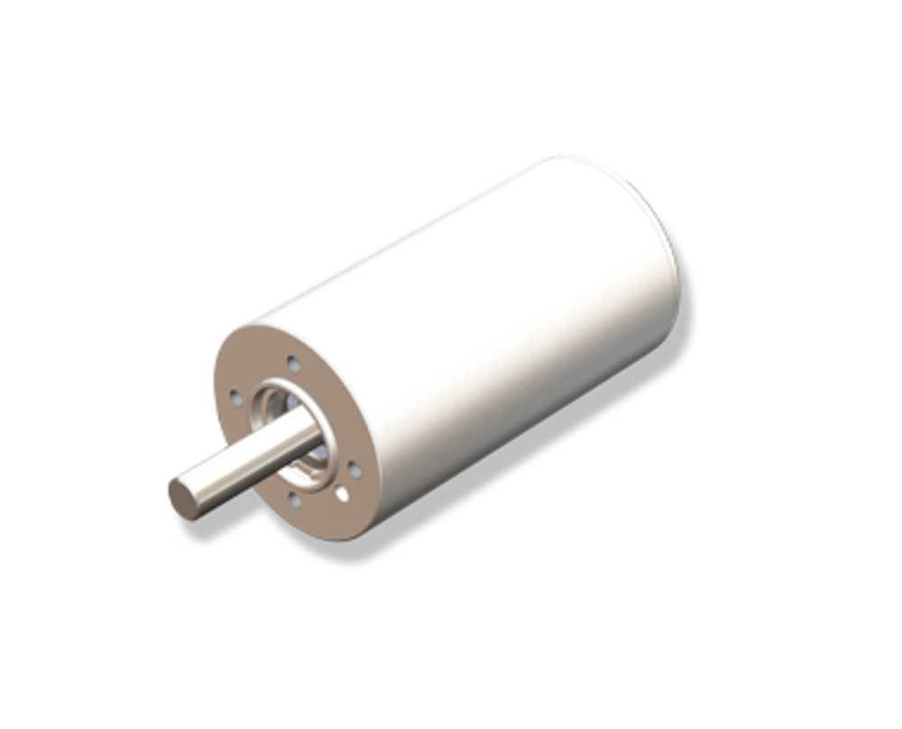 B1210N1038 Autoclavable Slotted Brushless DC Motor