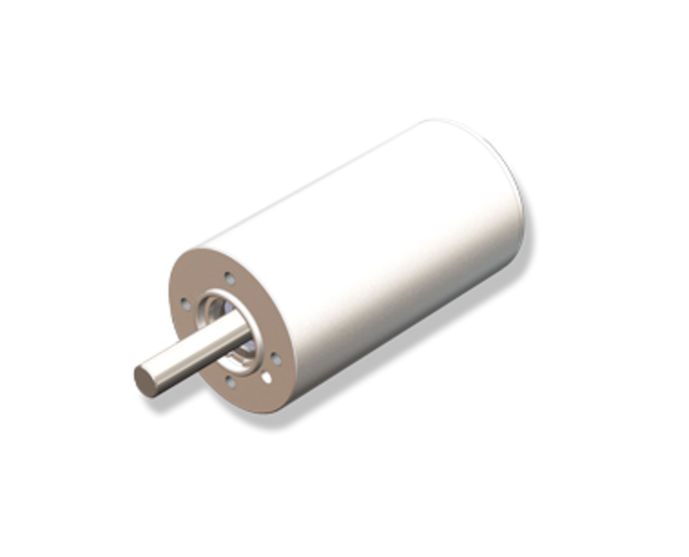 B1210N1039 Autoclavable Slotted Brushless DC Motor