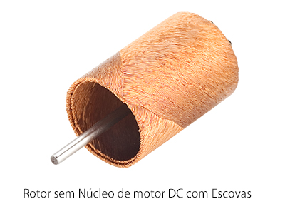Brush DC Rotor